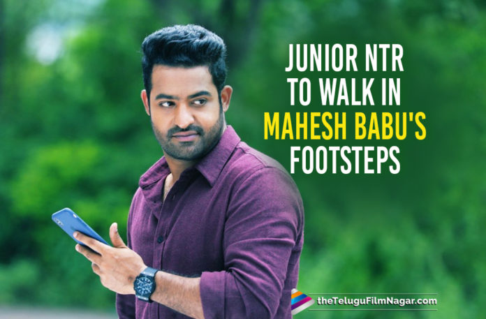 Junior NTR To Follow In Footsteps Of Mahesh Babu?,Latest Telugu Movies News,Telugu Film News 2019, Telugu Filmnagar, Tollywood Cinema Updates,Jr NTR Follows Mahesh Babu Footsteps,Mahesh Babu Latest News 2019