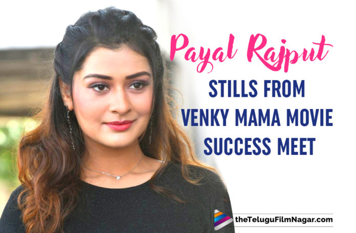 Payal Rajput Stills From Venky Mama Movie Success Meet