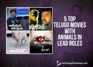 5 Top Recent Telugu Movies With Animals In Lead Roles, Actor Nandu Savaari Movie Latest News, latest telugu movies news, Savaari Movie Live Updates, Savaari Movie Updates, Savaari Telugu Movie Latest News, Telugu Film News 2020, Telugu Filmnagar, Telugu Movies Based On Animals In Lead Roles, Tollywood Films Based On Animals In Lead Roles, Tollywood Movie Updates, Top 5 Recent Telugu Movies With Animals In Lead Roles