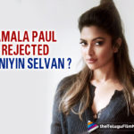 Amala Paul Rejected To Work In Mani Ratnam Ponniyin Selvan?