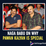 Naga Babu Talks About Why Pawan Kalyan Is Special