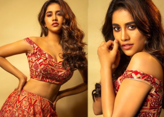 Nabha Natesh Upset About Films Not Releasing Due To Lockdown