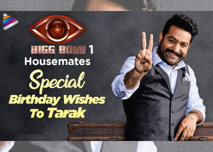 Bigg Boss Telugu 1 Contestants Send Special Birthday Wishes To Jr NTR - Watch Video
