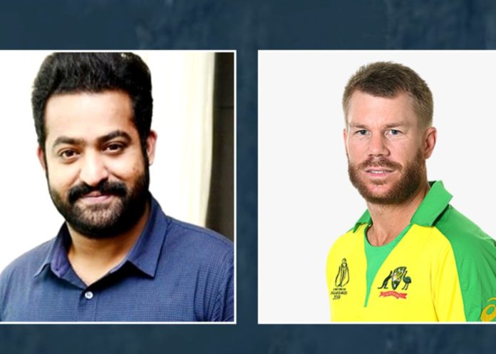 Upon A Fan's Request, Australian Cricketer David Warner Wishes Jr NTR On His Birthday