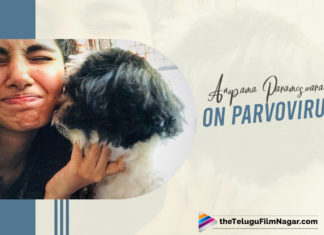 Anupama Parameswaran’s Two Pets Die Due Parvovirus