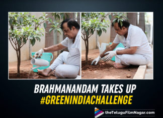 #GreenIndiaChallenge - Brahmanandam Plants Tree After Udaya Bhanu Challenges Him