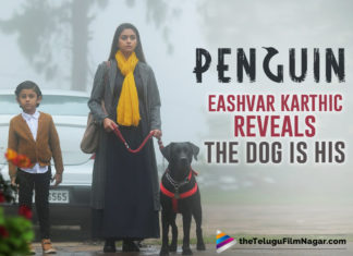 Penguin: Eashvar Karthic Reveals The Dog In Keerthy Suresh Starrer Is His