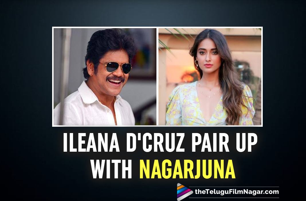 Ileana D Cruz On Board For Nagarjuna S Telugu Remake Raid