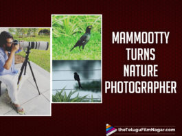Mammootty Turns Nature Photographer In This Latest Picture