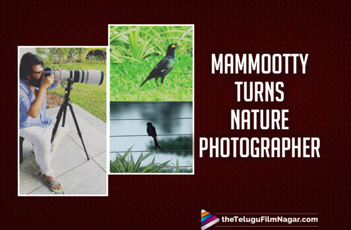 Mammootty Turns Nature Photographer In This Latest Picture