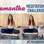 Samantha Akkineni Takes Up Meditation To Live The Life Fullest