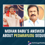 Mohan Babu’s Response To A Possible Sequel To Pedarayudu Will Surprise You!