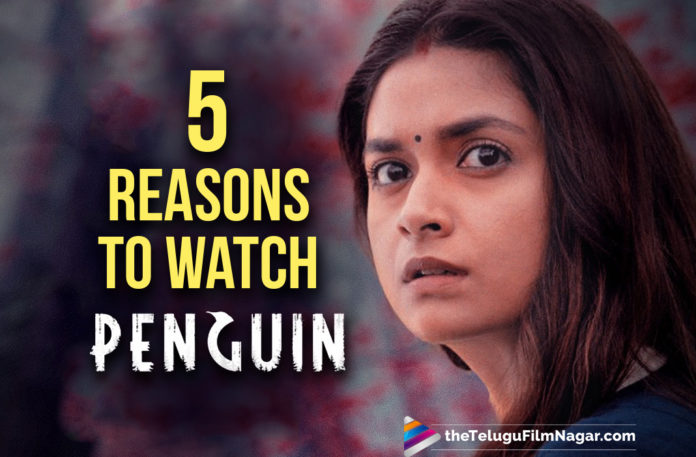 5 Reasons why Keerthy Suresh Starrer Penguin Is A Must Watch