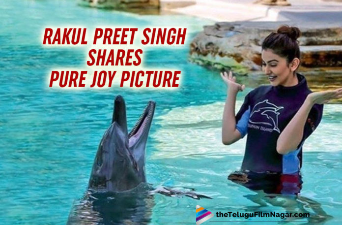 Rakul Preet Singh Shares Big Fat Laugh With THIS New Friend