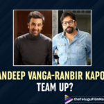 Sandeep Reddy Vanga’s Next Film With Bollywood Actor Ranbir Kapoor?