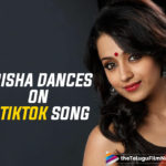 Trisha Krishnan Dances To The Tunes Of Music Star Kesha’s Song Cannibal