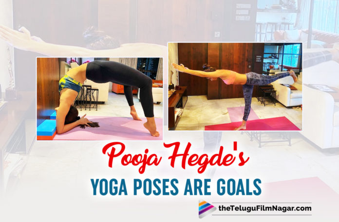 Pooja Hegde Performs Jaw Dropping Yoga Postures With So Much Ease