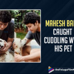 Mahesh Babu Caught Cuddling With His Pet By Namrata Shirodkar