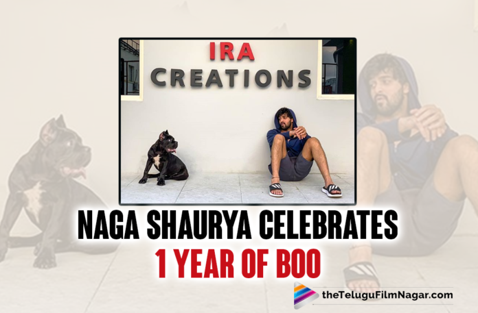 Naga Shaurya Heartfelt Words For His Pet Boo Will Make Your Day