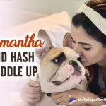 Samantha Akkineni Is All Cuddles And Kisses With Furry Pup Hash