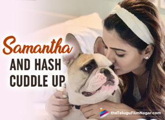 Samantha Akkineni Is All Cuddles And Kisses With Furry Pup Hash