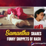 Samantha Akkineni Shares Funny Snippets Of Hash; My Life Doesn’t Have Personal Space