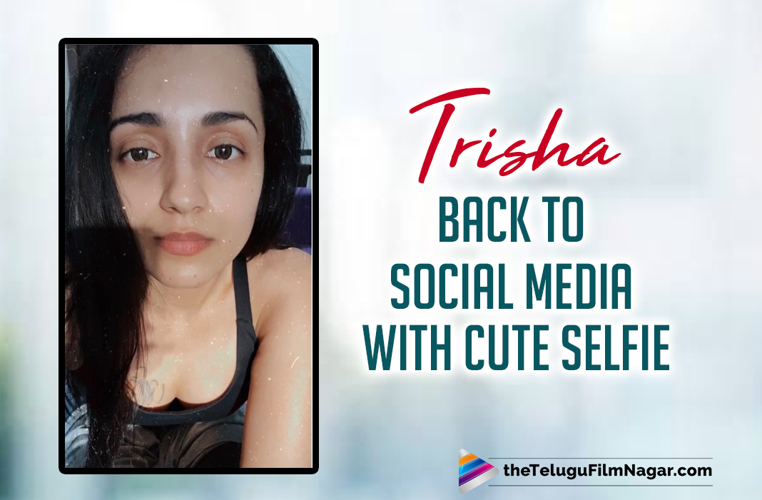 Trisha Back To Social Media With Cute Selfie