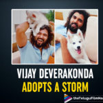 Vijay Deverakonda Adopts A Storm