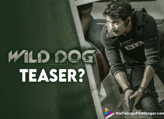 Wild Dog Teaser To Be Released On This Date?