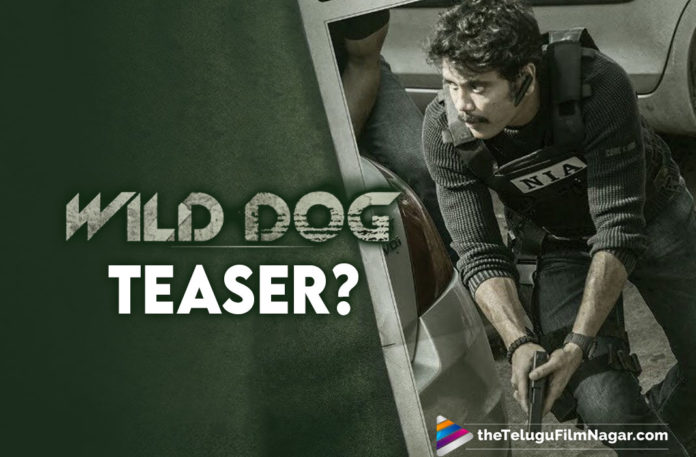 Wild Dog Teaser To Be Released On This Date?
