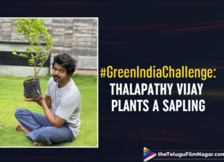 #GreenIndiaChallenge: Thalapathy Vijay Plants A Sapling After Being Challenged By Mahesh Babu