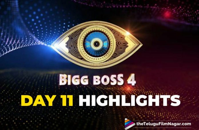 Bigg Boss Telugu 4, Day 11 Highlights: Avinash Mukku Of Jabardasth Fame Makes A Wildcard Entry And Gangavva Falls Sick