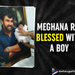 Late Actor Chiranjeevi Sarja And Megahana Raj Are Blessed With A Baby Boy