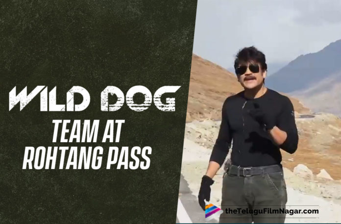 Nagarjuna Akkineni’s Video From WIld Dog Shoot Location In Rohtang Pass Is Wanderlust Goals