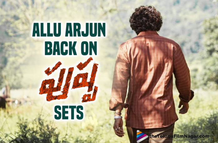 Stylish Star Allu Arjun Is Back In Action On The Sets Of Pushpa