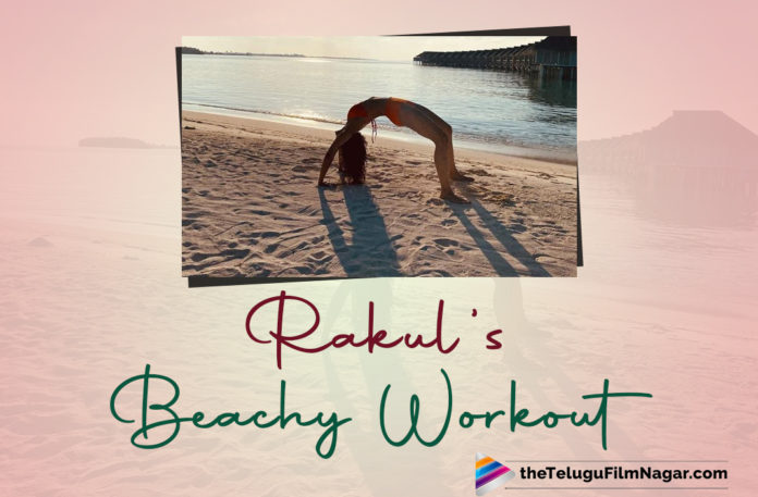 Rakul Preet Singh's Way Of Gaining 'Vitamin D' By The Beach Is All Thing Extraordinary