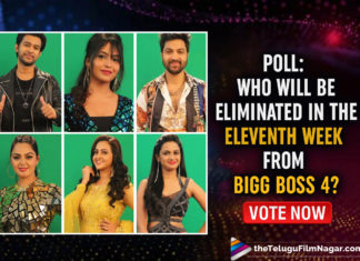 POLL: Who Do You Think Will Be Eliminated In The Eleventh Week From Bigg Boss 4? Vote Now