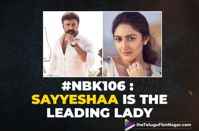 #NBK106: Boyapati Ropes In Sayyeshaa As Leading Lady For This Balakrishna Starrer