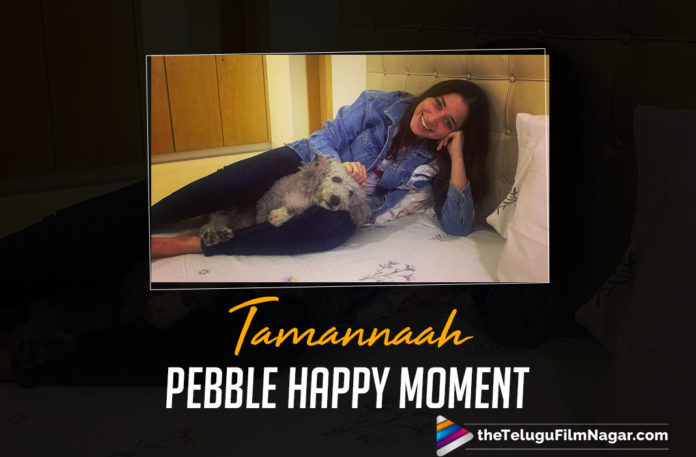 Tamannaah Bhatia's Surprise Visit To Home Makes Her Furry Doggo All Happy