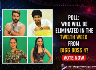 POLL: Who Do You Think Will Be Eliminated In The Twelfth Week From Bigg Boss 4? Vote Now