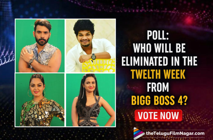 POLL: Who Do You Think Will Be Eliminated In The Twelfth Week From Bigg Boss 4? Vote Now