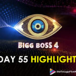 Bigg Boss 4 Telugu; Day 55 Highlights: Noel Is Out Of Race And Fires On Avinash and Amma Rajasekhar