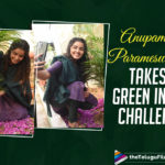 18 Pages Movie, 18 Pages Movie Updates, Actress Anupama Parameswaran, Anupama Parameswaran, Anupama Parameswaran Next Movie, Anupama Parameswaran Takes Up The Green Initiative And Plants Three Saplings, Anupama Parameswaran Upcoming Movie, Green India Challenge, green telangana, Haritha Haram program, latets tollywood updates, Telugu Filmnagar, tollywood updates