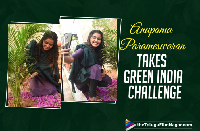 18 Pages Movie, 18 Pages Movie Updates, Actress Anupama Parameswaran, Anupama Parameswaran, Anupama Parameswaran Next Movie, Anupama Parameswaran Takes Up The Green Initiative And Plants Three Saplings, Anupama Parameswaran Upcoming Movie, Green India Challenge, green telangana, Haritha Haram program, latets tollywood updates, Telugu Filmnagar, tollywood updates