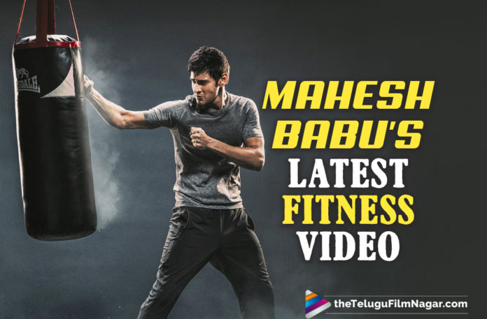 Mahesh Babu Is Unstoppable Latest Fitness Video,Telugu Filmnagar,Latest Telugu Movies News,Telugu Film News 2021,Tollywood Movie Updates,Latest Tollywood News,Telugu Filmnagar,Latest Telugu Movies News,Telugu Film News 2021,Tollywood Movie Updates,Latest Tollywood News,Mahesh Babu,Super Star Mahesh Babu,Hero Mahesh Babu,Actor Mahesh Babu,Mahesh Babu Latest Workout,Mahesh Babu Workout Video,Mahesh Babu Workout Latest,Mahesh Babu Latest News,Mahesh Babu Latest Movie News,Mahesh Babu Latest Fitness Video,Mahesh Babu Fitness Video,Mahesh Babu Exercise Video,Mahesh Babu Fitness