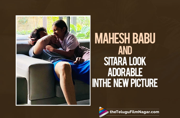 Mahesh Babu and Sitara Look Adorable In This New Picture,Namrata Shirodkar Posts An Adorable Picture,Telugu Filmnagar,Latest Telugu Movies News,Telugu Film News 2021,Tollywood Movie Updates,Latest Tollywood News,Namrata Shirodkar,Mahesh Babu,Super Star Mahesh Babu,Sitara Ghattamaneni,Mahesh Babu Latest News,Mahesh Babu Latest Photos,Mahesh Babu Latest Pictures,Mahesh Babu Latest Pic,Adorable Picture Of Mahesh Babu And Sitara,Mahesh Babu and Sitara Adorable Picture,Mahesh Babu and Sitara Picture,Mahesh Babu and Sitara New Photo,Mahesh Babu And Sitara Spend A Lazy Sunday By The Pool,Mahesh Babu And Sitara Latest Photo Gallery,Mahesh Babu And Sitara New Pic,Mahesh Babu And Sitara Funny Time,Mahesh Babu New Movie,Mahesh Babu Latest Film Updates,Mahesh Babu and Sitara Look Adorable Picture,Mahesh Babu and Sitara Look Picture