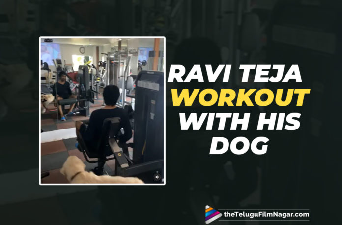 Ravi Teja’s Fun Monday Workout With His Dog,Telugu Filmnagar,Latest Telugu Movies News,Telugu Film News 2021,Tollywood Movie Updates,Latest Tollywood News,Ravi Teja Workout With His Dog,Mass Maharaja Ravi Teja Workout With His Dog,Ravi Teja,Hero Ravi Teja,Actor Ravi Teja,Mass MahaRaja Ravi Teja,Ravi Teja Latest News,Ravi Teja Latest Film Updates,Ravi Teja New Movie,Ravi Teja Workout,Ravi Teja Workout Pic,Ravi Teja Workout Photo,Ravi Teja Workout Image,Ravi Teja Workout Picture,Ravi Teja Latest Workout,Mass Maharaja Ravi Teja Workout With His Dog Video,Ravi Teja Shared A Glimpse Of His Monday Workout Video,Ravi Teja Workout Video,Ravi Teja Monday Workout Video,Khiladi,Khiladi Movie,Ravi Teja Workout Video With His Dog,Ravi Teja New Work Out Video