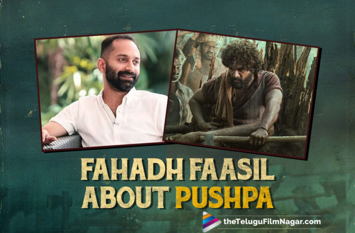 Fahadh Faasil About His Role In Pushpa Movie,Telugu Filmnagar,Latest Telugu Movies News,Telugu Film News 2021,Tollywood Movie Updates,Latest Tollywood News,Stylish Star Allu Arjun,Allu Arjun Pushpa,Allu Arjun Pushpa Movie,Allu Arjun Sukumar Movie,Devi Sri Prasad,Sukumar Latest Movie,Pushpa Telugu Movie,Pushpa Movie,Pushpa Update,Pushpa Movie Update,Pushpa,Pushpa Movie News,Pushpa Movie Latest News,Pushpa Movie Update,Pushpa Movie Latest Update,Fahadh Faasil,Actor Fahadh Faasil,Fahadh Faasil Latest News,Fahadh Faasil About His Role In Pushpa,Fahadh Faasil About Pushpa Movie,Fahadh Faasil About In Pushpa Movie,Fahadh Faasil About His Role,Fahadh Faasil Opened Up About His Role In Pushpa Movie,Fahadh Faasil Interview,Fahadh Faasil Latest Interview,Fahadh Faasil In Pushpa,Fahadh Faasil About Pushpa,Fahadh Faasil Movies,Fahadh Faasil New Movie