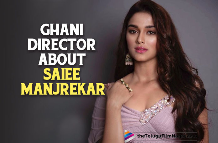 Ghani Movie Director About Saiee Manjrekar,Telugu Filmnagar,Latest Telugu Movies News,Telugu Film News 2021,Tollywood Movie Updates,Latest Tollywood News,Saiee Manjrekar,Actress Saiee Manjrekar,Heroine Saiee Manjrekar,Saiee Manjrekar Movies,Saiee Manjrekar Telugu Movie,Saiee Manjrekar Tollywood Movies,Saiee Manjrekar New Movie,Saiee Manjrekar Latest Movie,Saiee Manjrekar Upcoming Movies,Saiee Manjrekar Next Movie,Saiee Manjrekar Ghani,Ghani Movie Director About Actress Saiee Manjrekar,Varun Tej,Actor Varun Tej,Varun Tej Ghani,Ghani Movie,Ghani Telugu Movie,Ghani Update,Ghani Movie Update,Ghani Movie Latest News,Ghani Movie Director,Kiran Korrapati,Kiran Korrapati Movies,Director Kiran Korrapati,Kiran Korrapati About Saiee Manjrekar,Kiran Korrapati Latest Interview,Kiran Korrapati Latest News,Kiran Korrapati Ghani