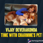 Vijay Deverakonda’s Cozy Moments With Charmme’s Pet Dog Is A Must See